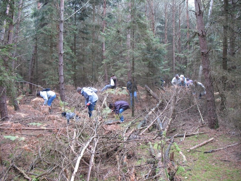 2006 11 Mycobocquet 03